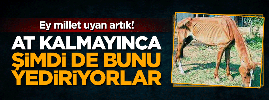 Canan Karatay: At kalmadı, yulafı bize yediriyorlar