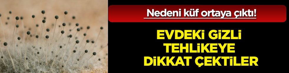  Canan Karatay evde gizli tehlikeye dikkat çekti: Küften kurtulmak için sirkeyi böyle önerdi... 