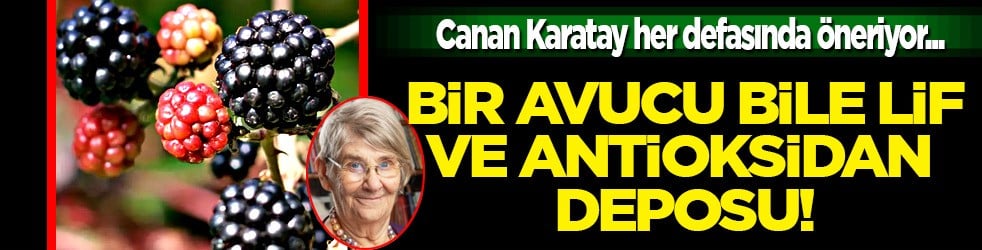 Canan Karatay'ın ısrarla tavsiye ettiği yaz meyvesi: Bir avucu bile lif ve antioksidan deposu