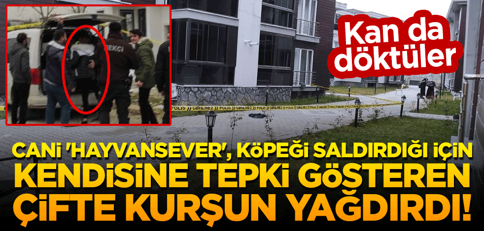 Cani 'hayvansever', köpeği saldırdığı için kendisine tepki gösteren çifte kurşun yağdırdı!