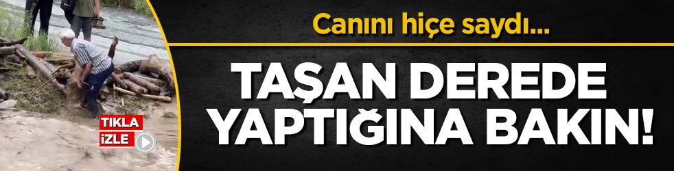 Canını hiçe saydı... Taşan derede yaptığına bakın!