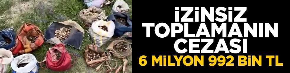 Çankırı'da izinsiz topladılar! 10 kişiye 6 milyon 992 bin TL ceza kesildi