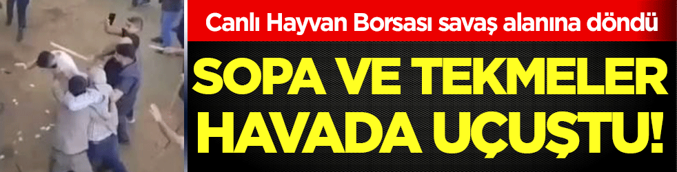 Canlı Hayvan Borsası savaş alanına döndü: Sopa ve tekmeler havada uçuştu