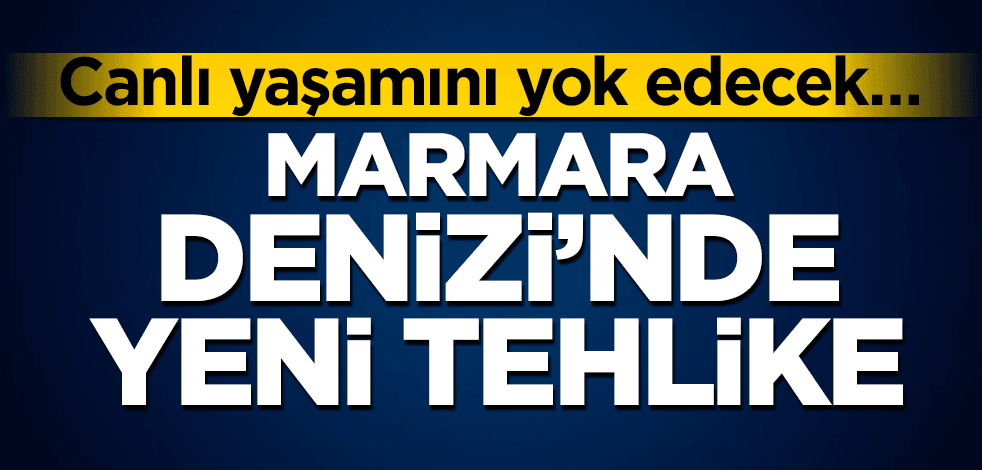 Canlı yaşamını yok edecek… Marmara Denizi’nde yeni tehlike