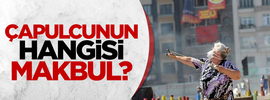 Çapulcunun hangisi makbul?