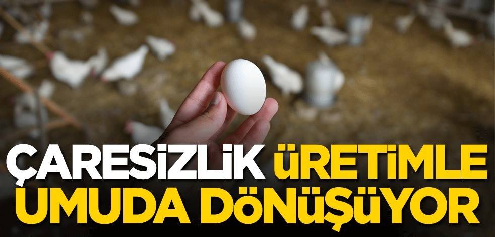 Çaresizlik üretimle umuda dönüşüyor