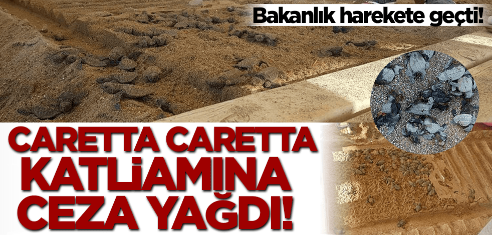 Caretta caretta katliamına ceza yağdı!