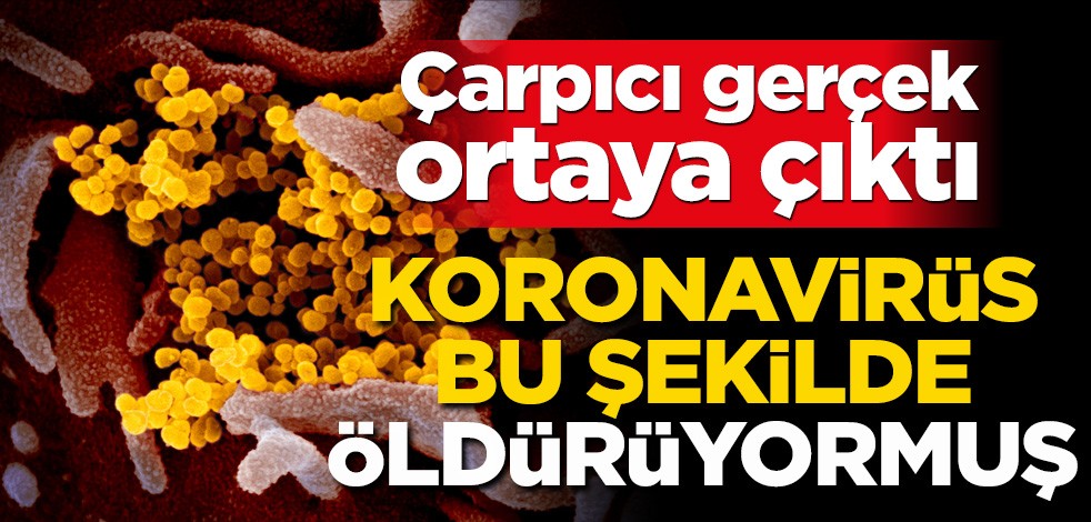 Çarpıcı gerçek ortaya çıktı! Koronavirüs bu şekilde öldürüyormuş