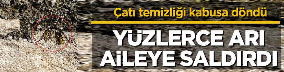 Çatı temizliği kabusa döndü! Yüzlerce arı aileye saldırdı