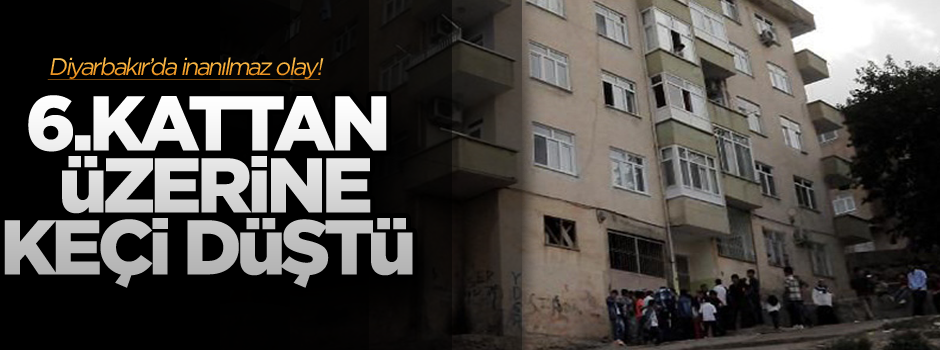 Çatıdan atlayan keçi Heval'i öldürdü