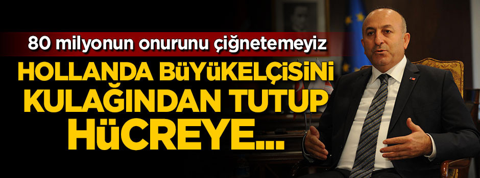 Çavuşoğlu: Hollanda elçisini hücreye atardık