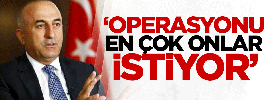 Çavuşoğlu: Operasyonu en çok onlar istiyor