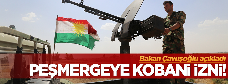 Çavuşoğlu: Peşmergenin Kobani'ye geçmesine yardımcı olduk