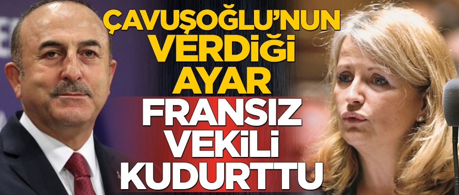 Çavuşoğlu'nun verdiği ayar Fransız vekili kudurttu