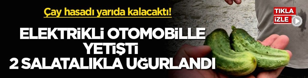 Çay hasadı yarıda kalacaktı! Elektrikli otomobille yetişti, 2 salatalıkla uğurlandı