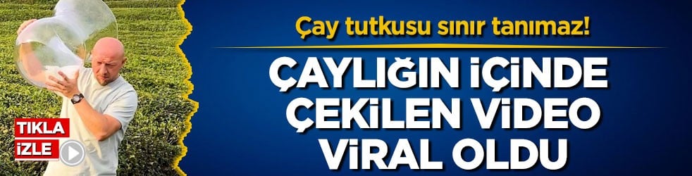 Çay tutkusu sınır tanımaz! Çaylığın içinde çekilen video viral oldu