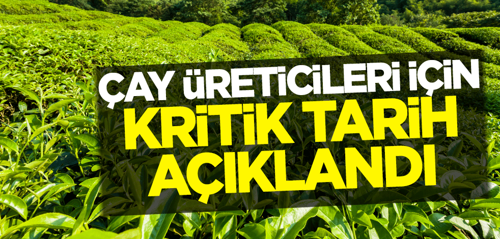Çay üreticileri için kritik tarih açıklandı