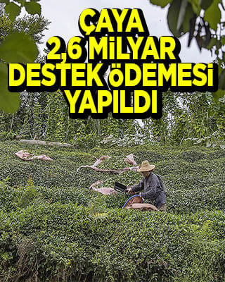 Çay üreticilerine 2,6 milyar liralık destek ödemesi yapıldı