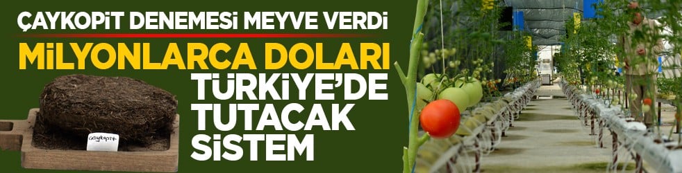 Çaykopit denemesi meyve verdi: Milyonlarca doları Türkiye’de tutacak sistem