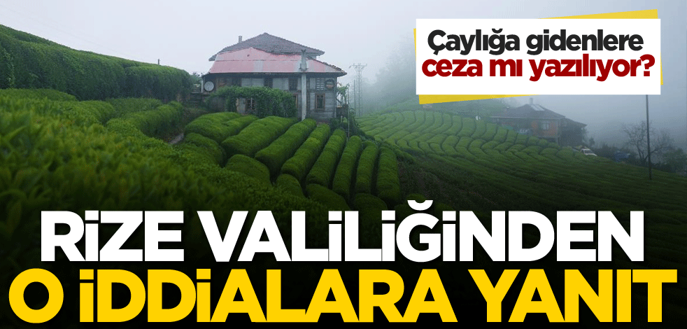 Çaylığa gidenlere ceza mı yazılıyor? Rize Valiliğinden o iddialara yanıt