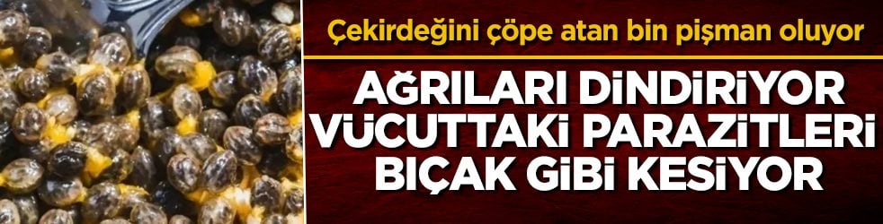 Çekirdeğini çöpe atan bin pişman oluyor! Ağrıları dindiriyor, vücuttaki parazitleri bıçak gibi kesiyor