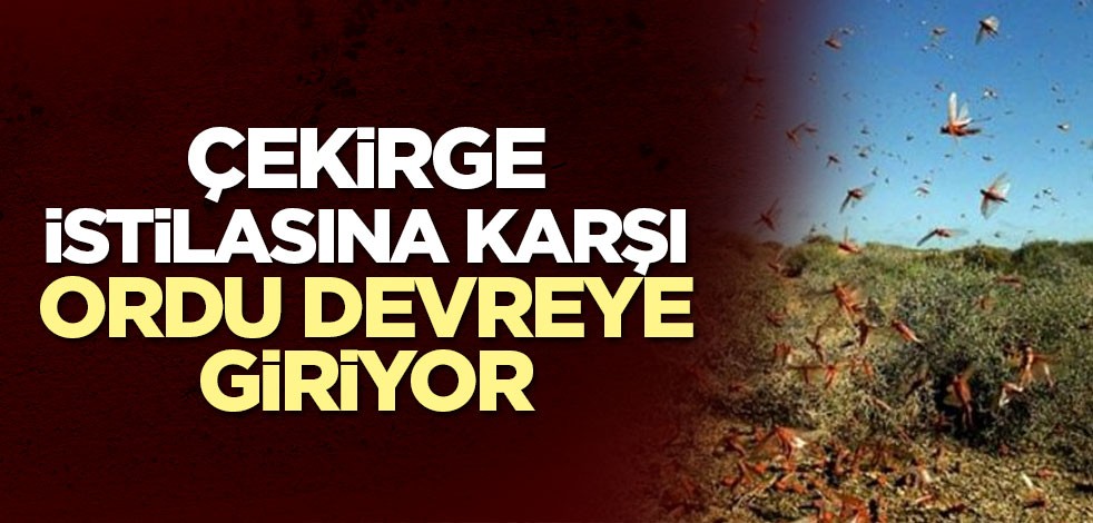 Çekirge istilasına karşı İran'da ordu devreye giriyor