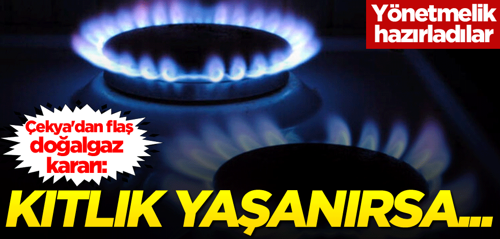 Çekya'dan flaş doğalgaz kararı: Kıtlık yaşanırsa...
