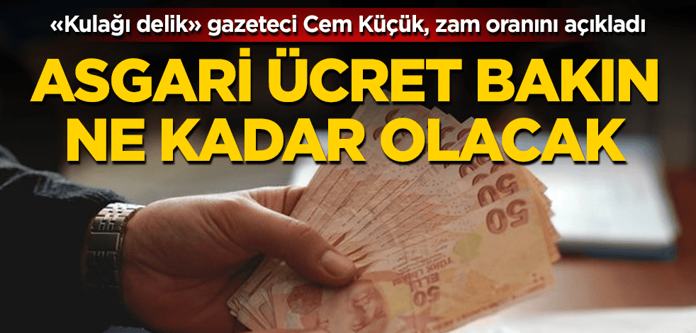Cem Küçük yeni asgari ücreti açıkladı
