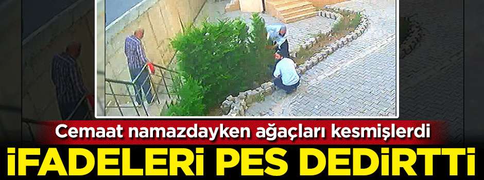 Cemaat namazdayken ağaçları kesmişlerdi... Açıklamaları pes dedirtti