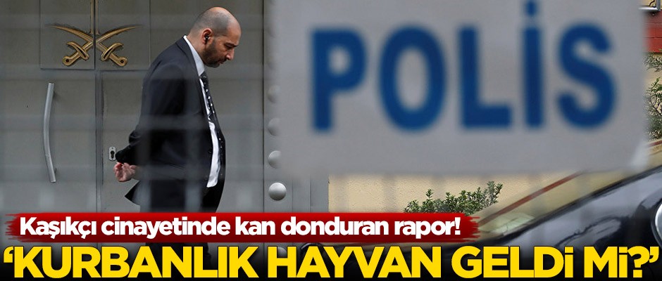Cemal Kaşıkçı cinayetinde kan donduran rapor: Kurbanlık hayvan geldi mi?