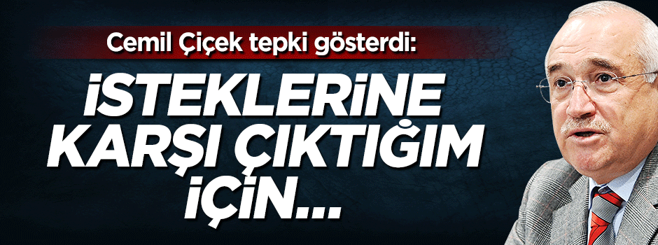 Cemil Çiçek: İsteklerine karşı çıktığım için...