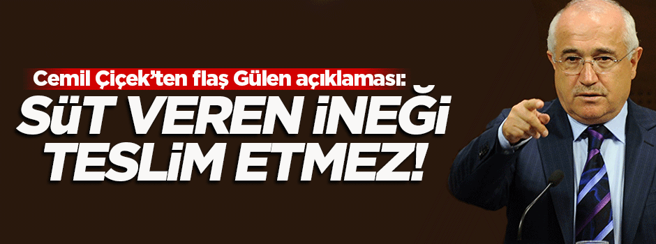 Cemil Çiçek'ten flaş Gülen açıklaması