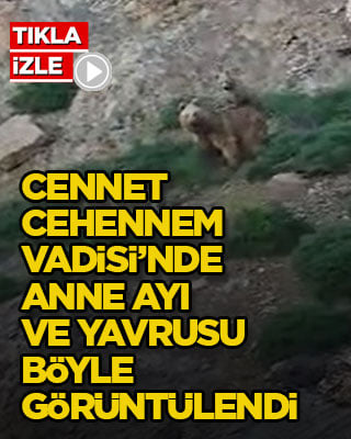 Cennet Cehennem Vadisi’nde anne ayı ve yavrusu böyle görüntülendi