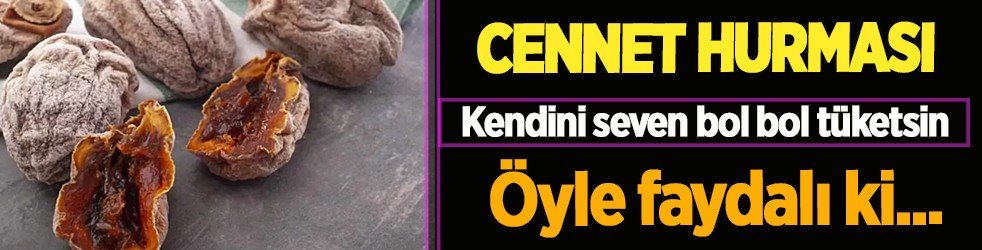 Cennet elması: Trabzon hurması kurusu nasıl yapılır? Trabzon hurmasının faydaları