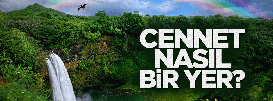 Cennet ve özellikleri