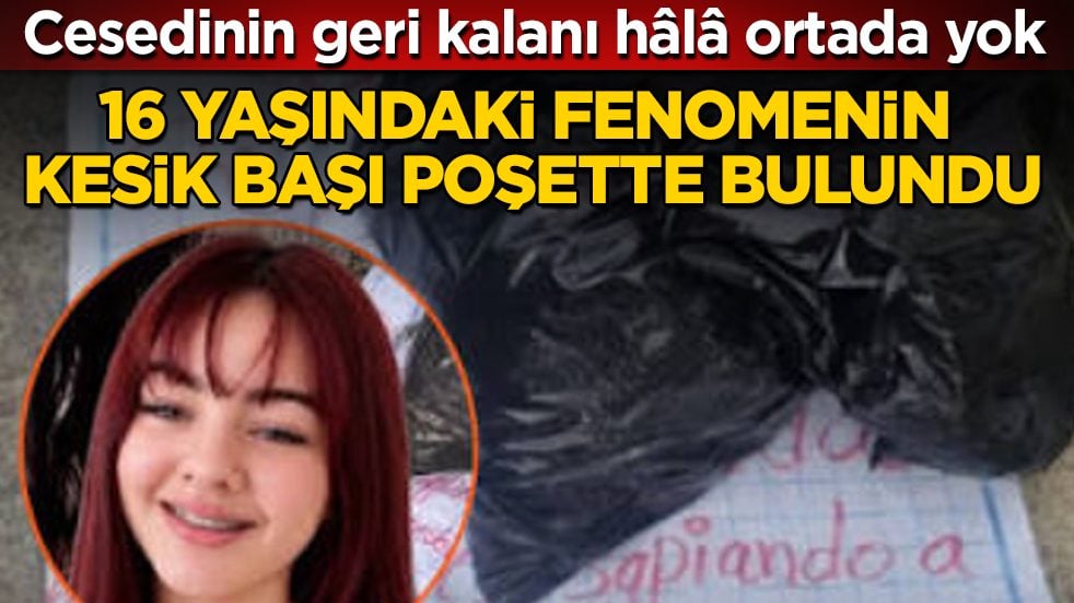 Cesedinin geri kalanı hâlâ ortada yok! 16 yaşındaki fenomenin kesik başı poşette bulundu