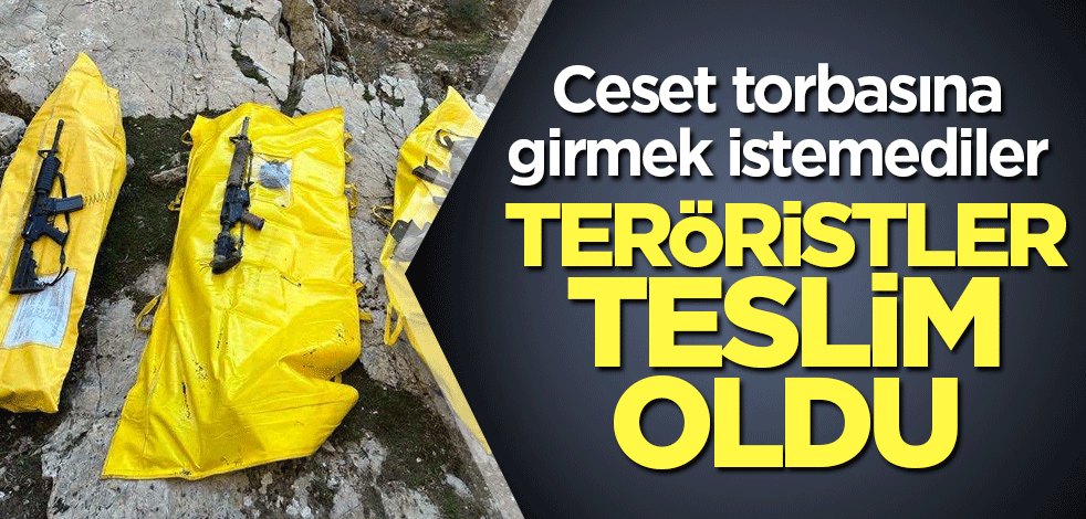 Ceset torbasına girmek istemeyen teröristler teslim oldu