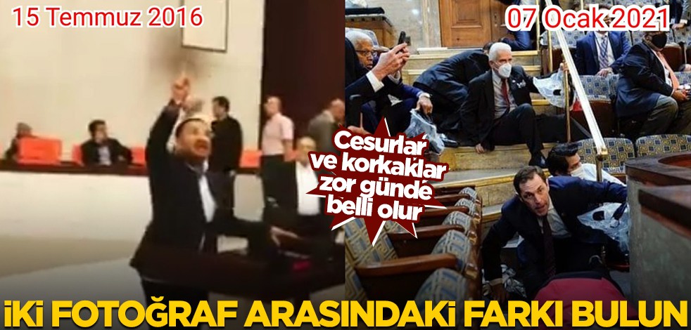 Cesurlar ve korkaklar zor günde belli olur! İki fotoğraf arasında farkı bulun