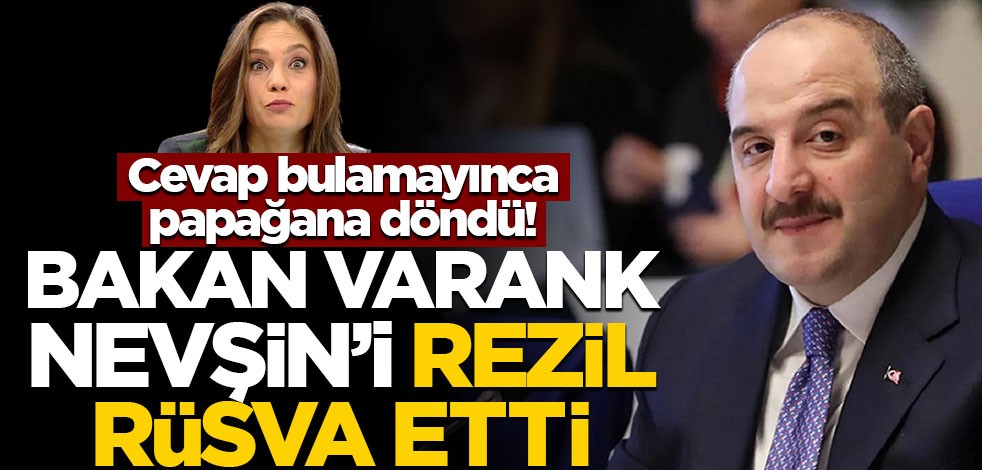 Cevap bulamayınca papağana döndü! Bakan Varank Nevşin'i rezil rüsva etti