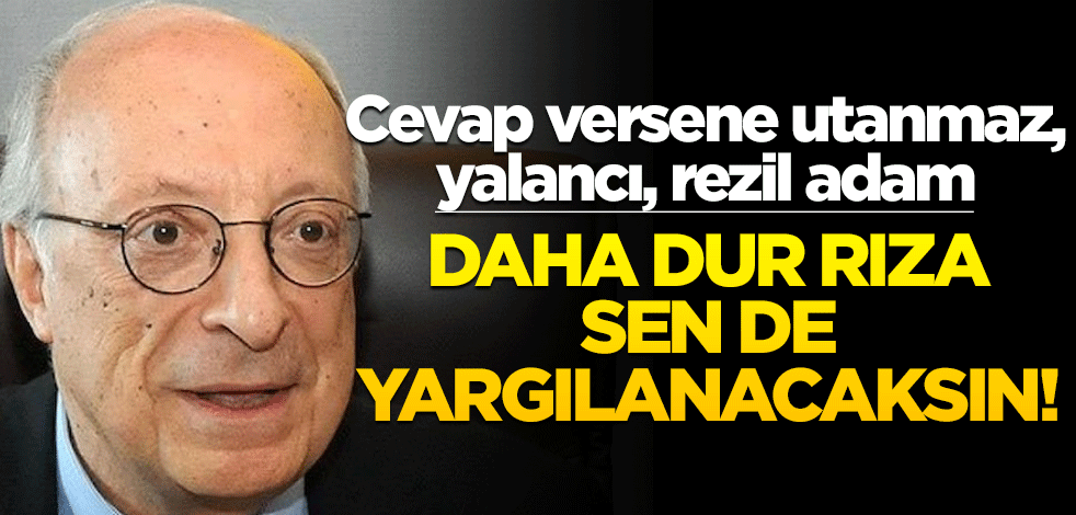 Cevap versene utanmaz, yalancı, rezil adam! Daha dur Rıza, sen de yargılanacaksın!..