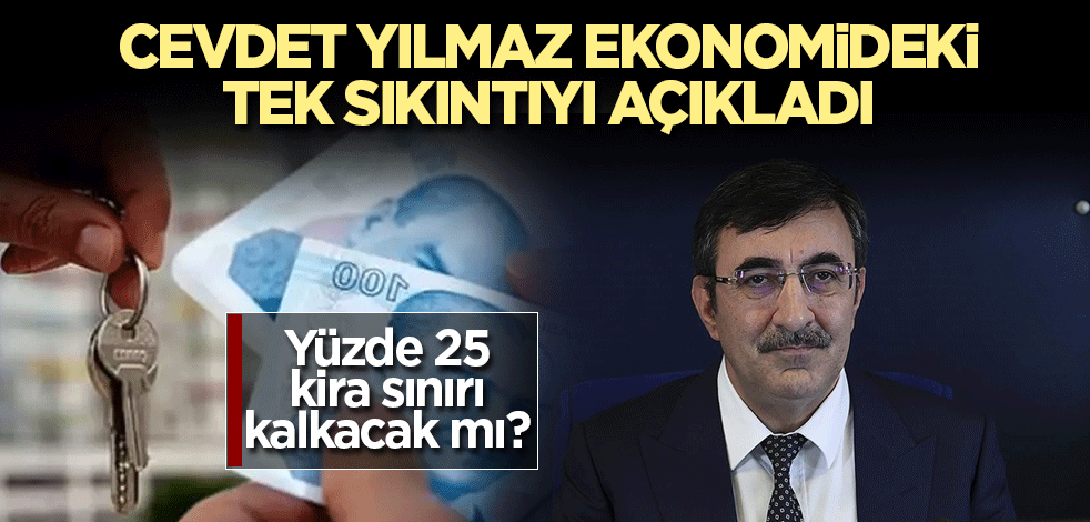 Cevdet Yılmaz ekonomideki tek sıkıntıyı açıkladı