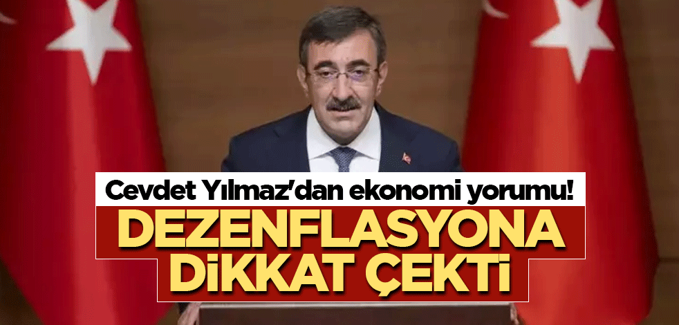 Cevdet Yılmaz'dan ekonomi yorumu! Dezenflasyona dikkat çekti