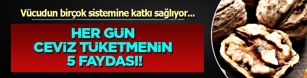 Ceviz: Sağlığa en faydalı kuruyemişi her gün tüketmenin 5 faydası var... Farkı bakın neymiş