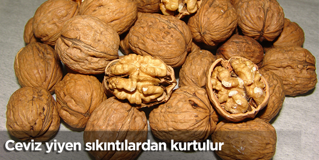 Ceviz yiyen, sıkıntılardan kurtulur!