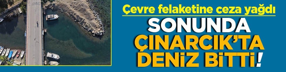 Çevre felaketine ceza yağdı Sonunda Çınarcık’ta deniz bitti!