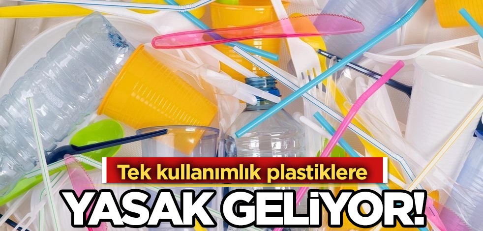 Çevre kirliliği dünyanın ortak sorunu oluyor: Artık plastik çatal, bıçak, tabak ve tepsi yasağı başlayacak
