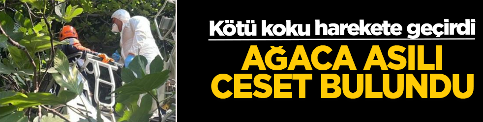 Çevredeki koku acı gerçeği ortaya çıkardı! Ağaca asılı ceset bulundu