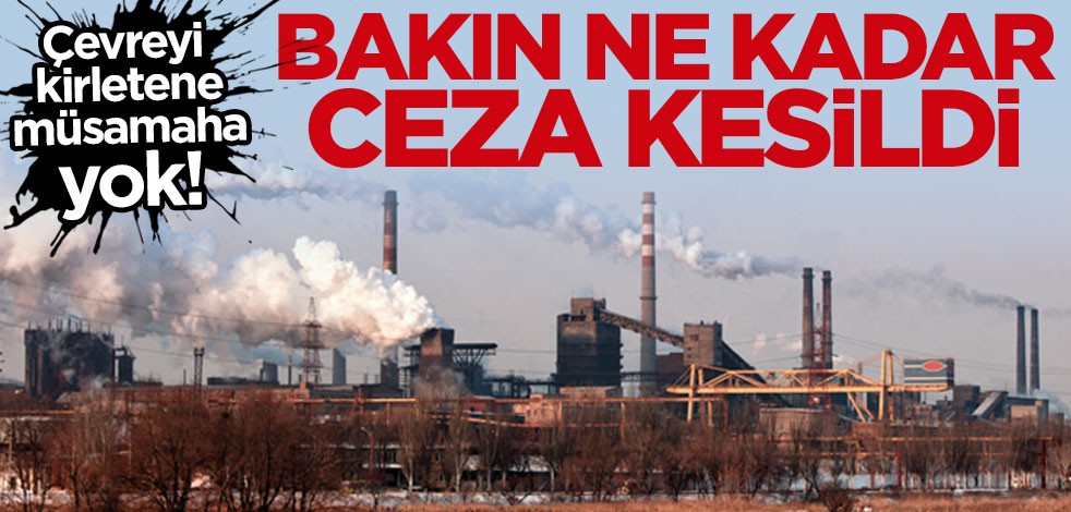 Çevreyi kirleten tesislere 2019'da 150 milyon lira ceza kesildi