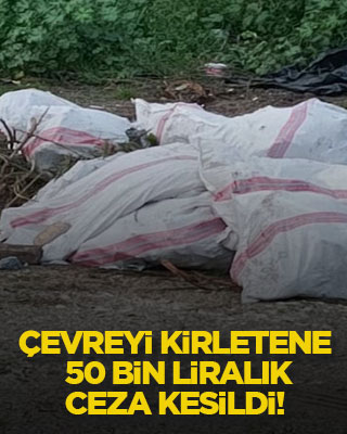 Çevreyi kirletene 50 bin liralık ceza kesildi!