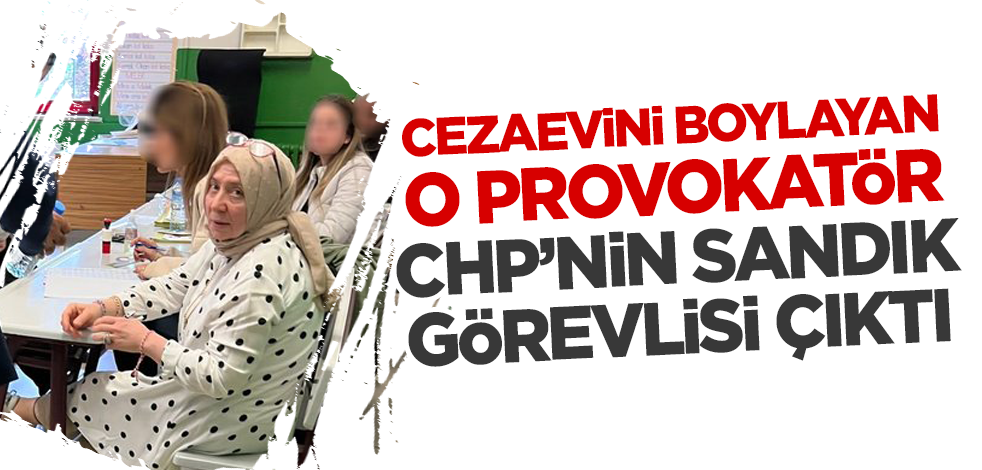 Cezaevini boylayan o provokatör CHP'nin sandık görevlisi çıktı!